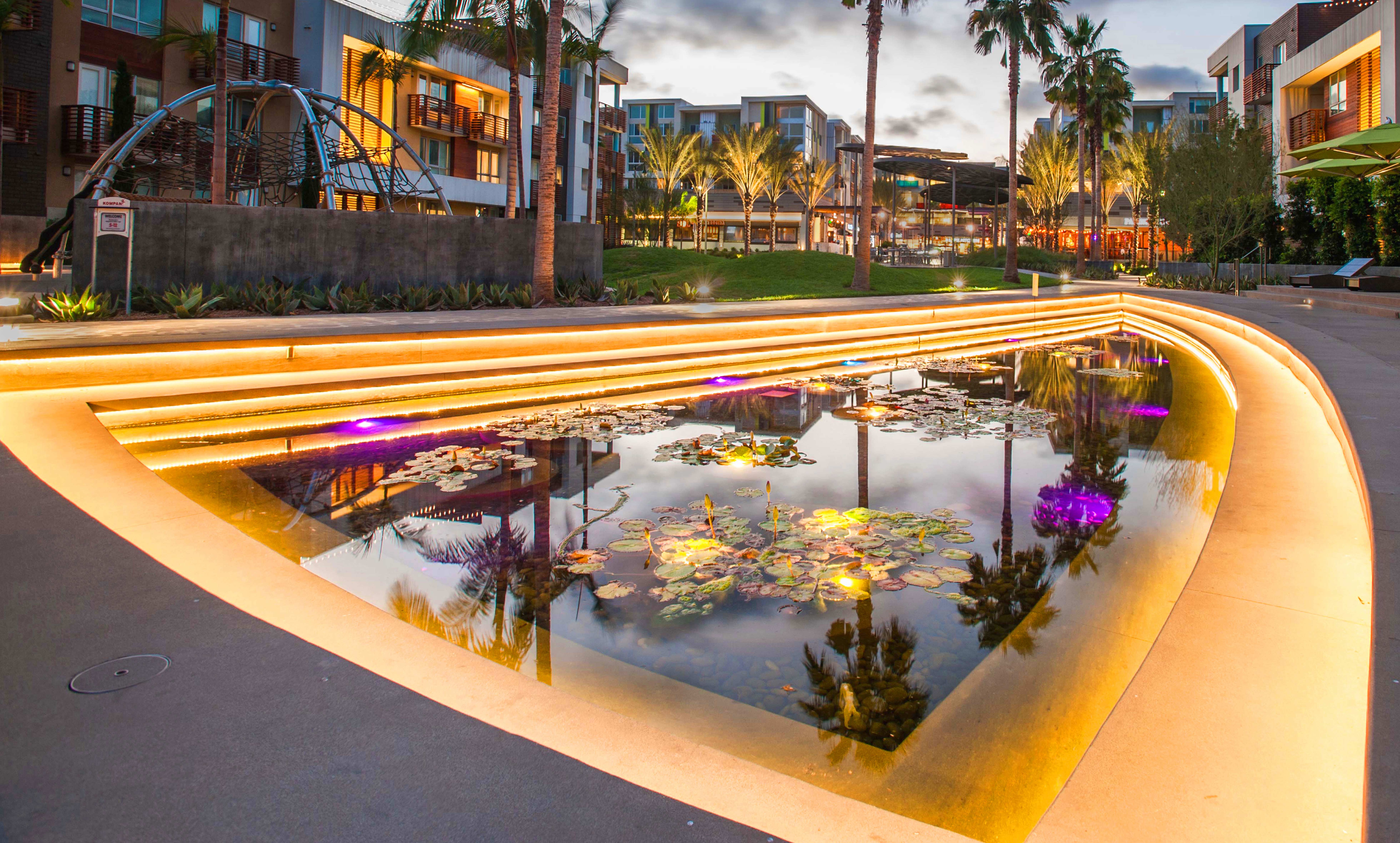 Community Development Pond at Night