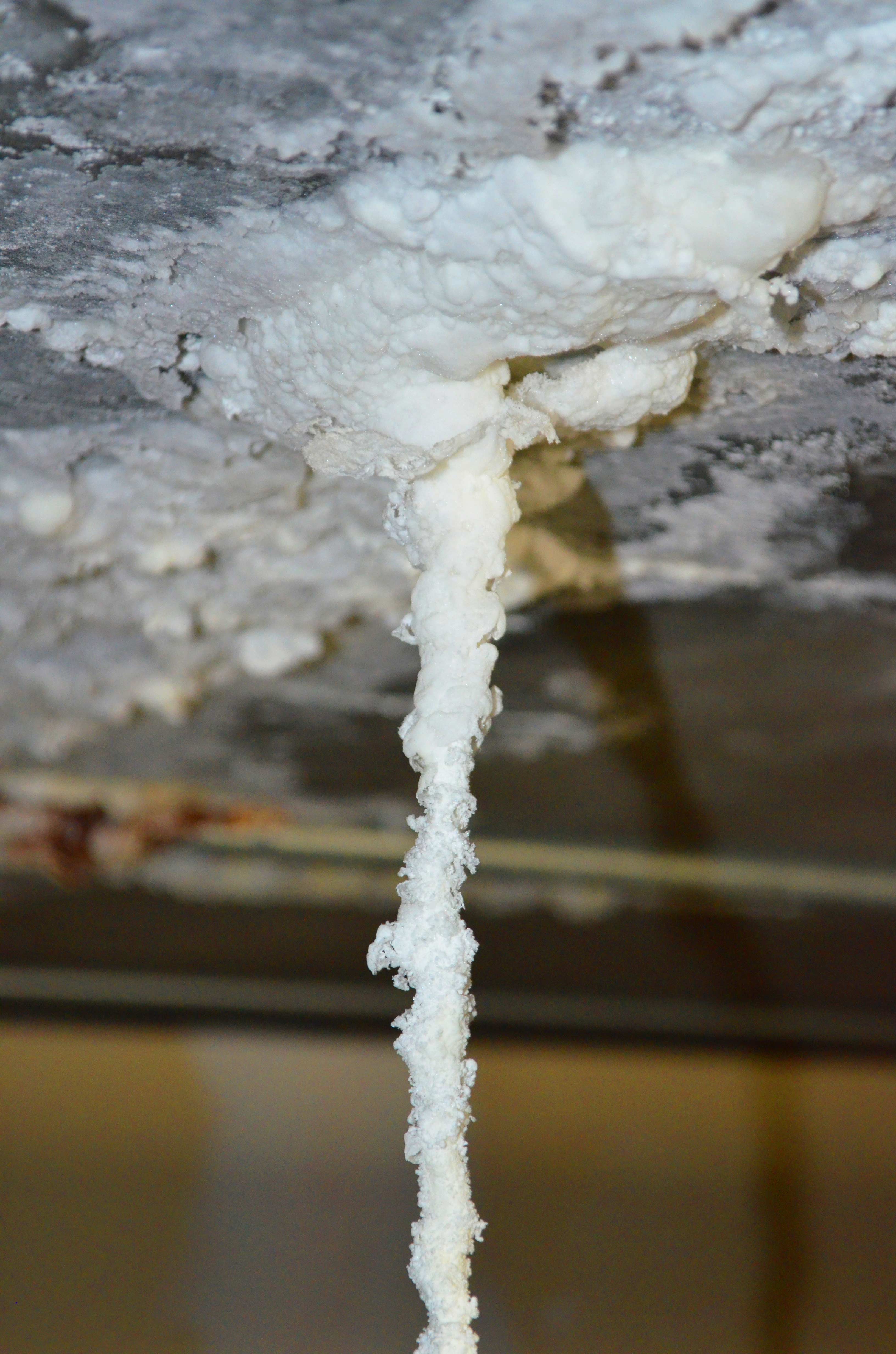 Site Investigation & Forensics